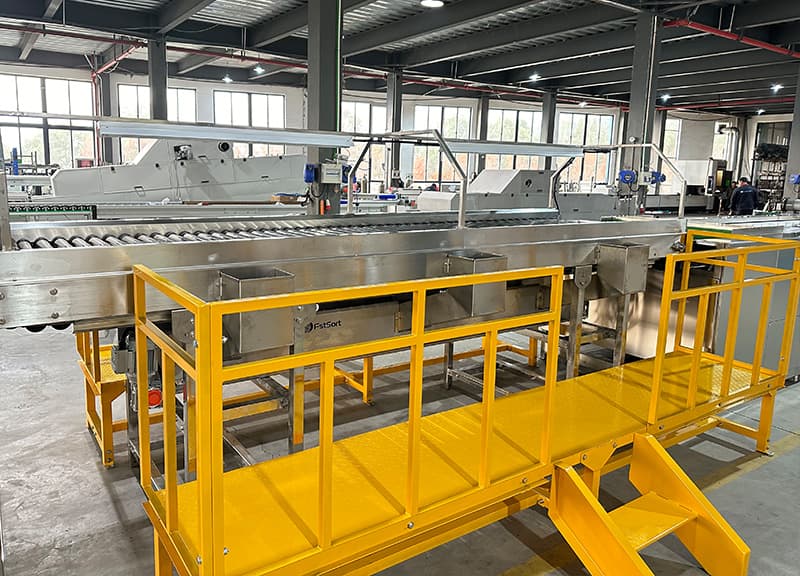 images/1733814716759fruit inspection table.jpg